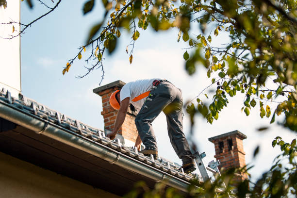 Best Roof Installation  in Sabetha, KS